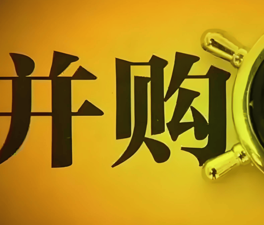 并购赋能成长，资本驱动未来(并购大时代资本的谋略与实战)-第1张图片-战略资本商业服务
